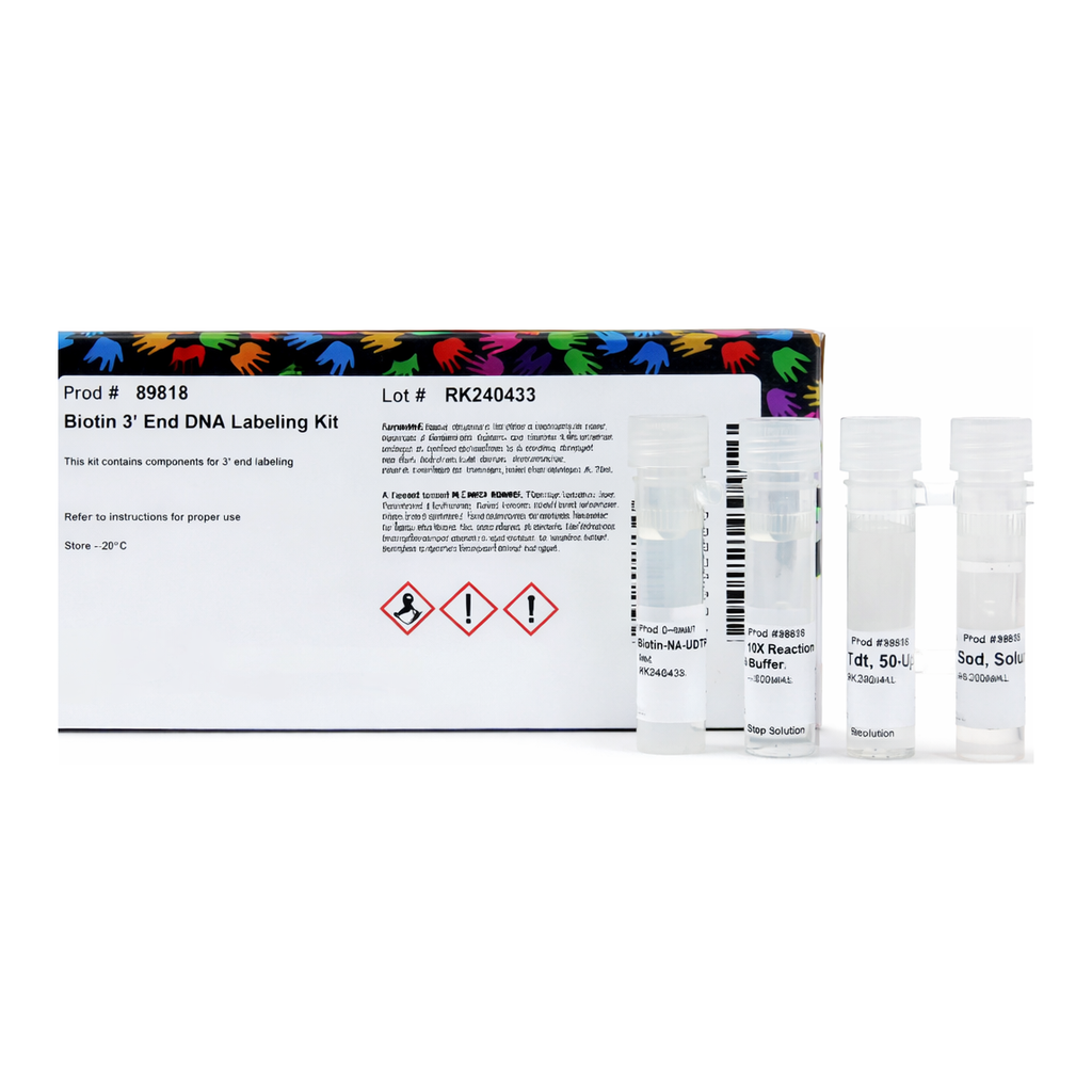 Thermo Fisher Scientific Pierce Biotin 3` End DNA Labeling Kit