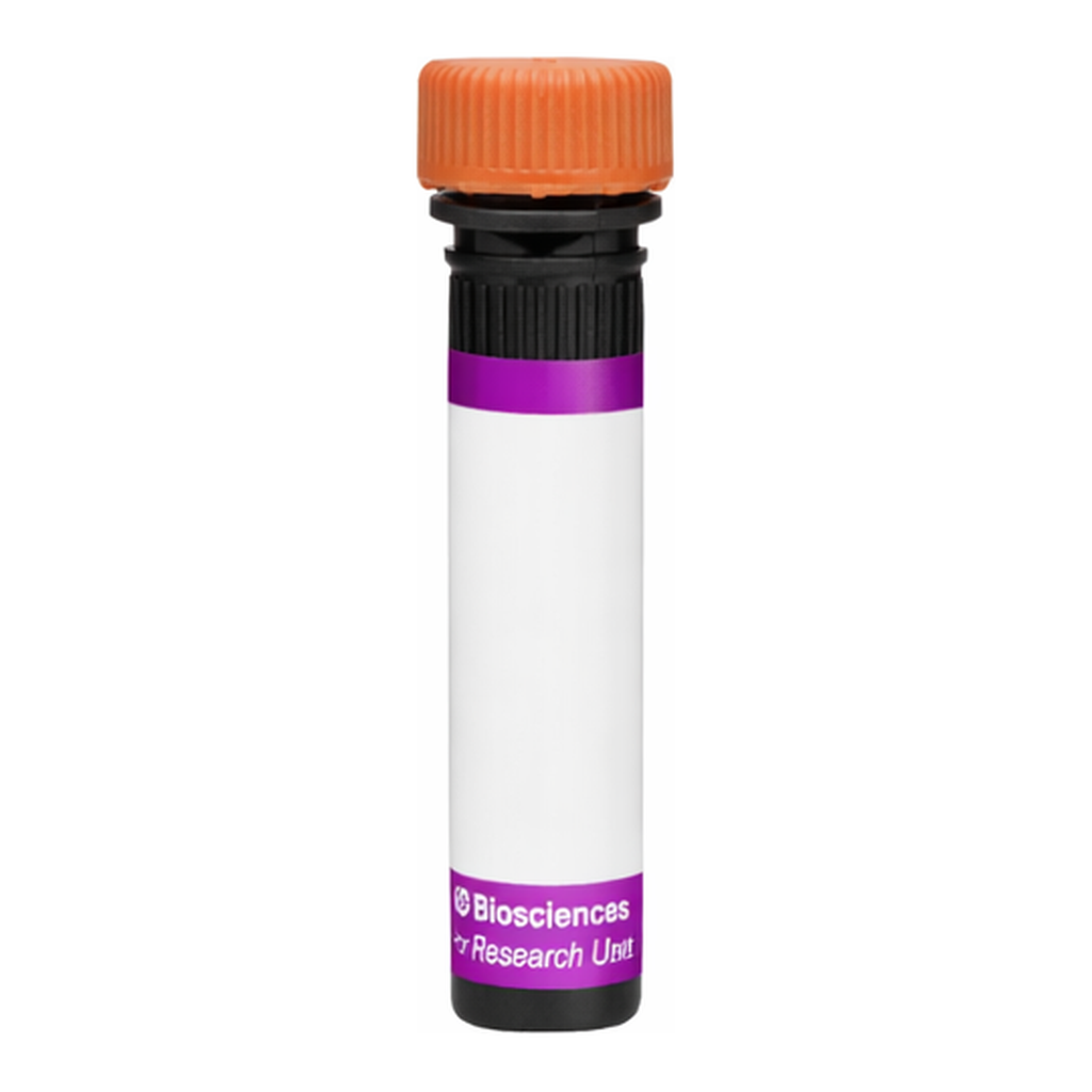 BD BV605 Biosimilar Anti-Human EGFR