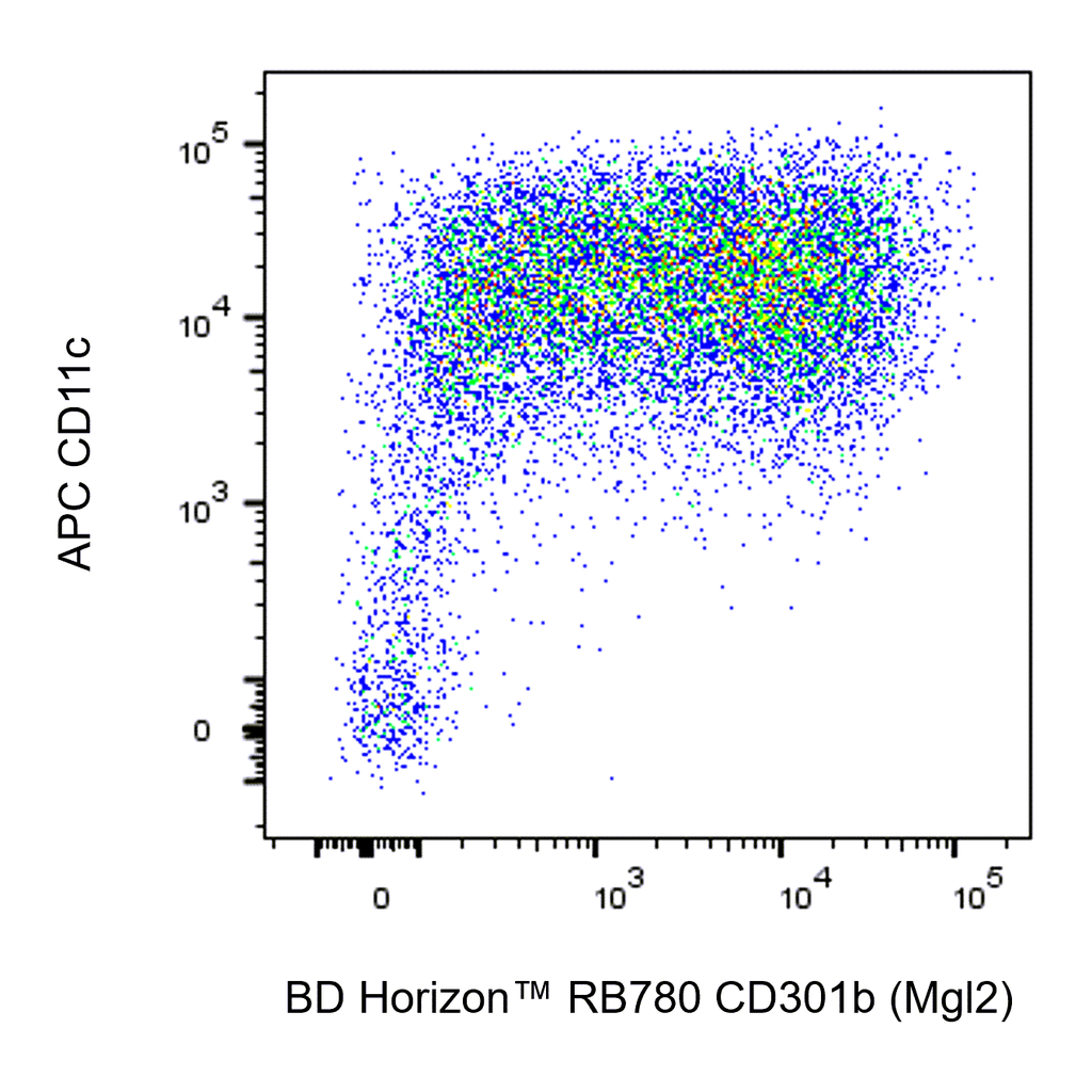 BD RB780 Rat Anti-Mouse CD301b (Mgl2)