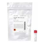 Thermo Fisher Scientific DyLight 488, Free Acid