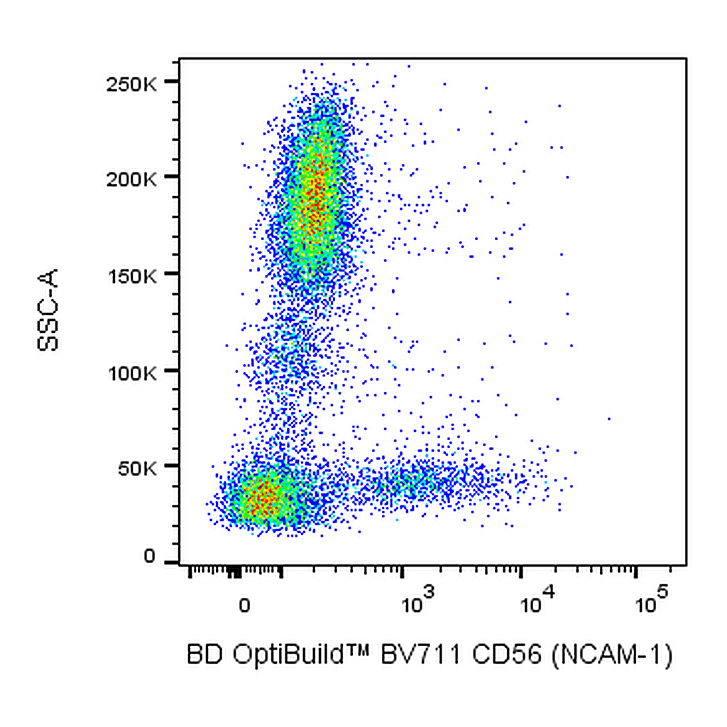 BD BV711 Mouse Anti-Human CD56 (NCAM-1)