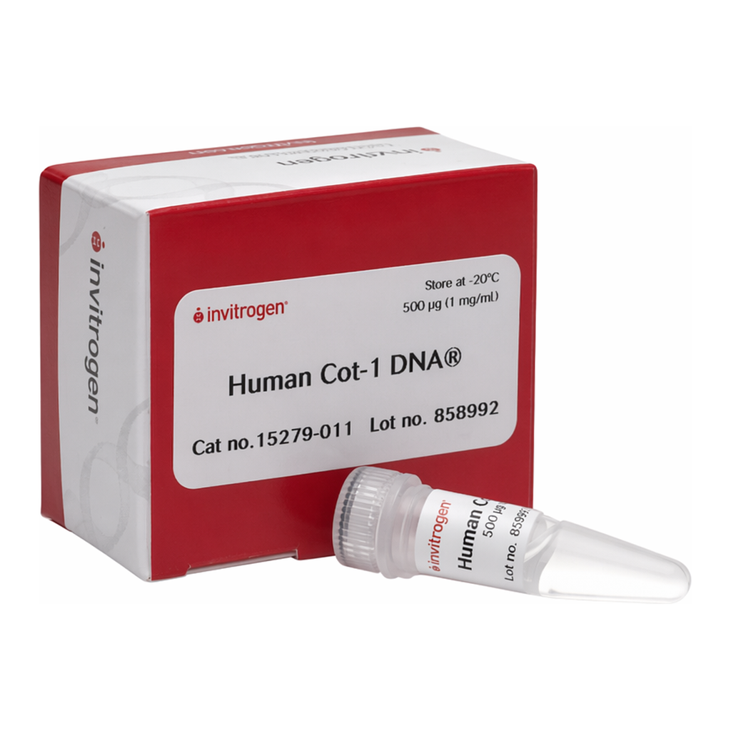 Thermo Fisher Scientific Human Cot-1 DNA