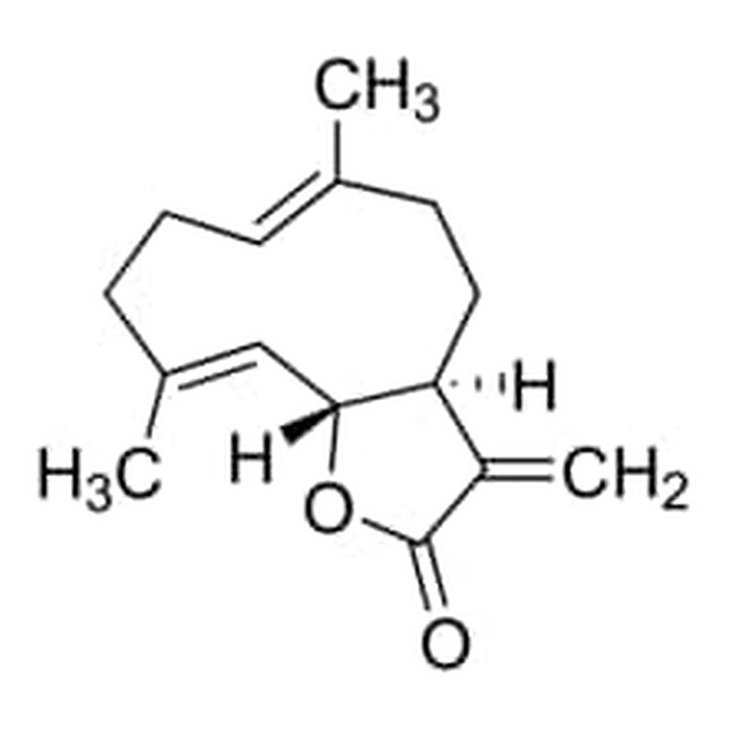 Merck COSTUNOLIDE