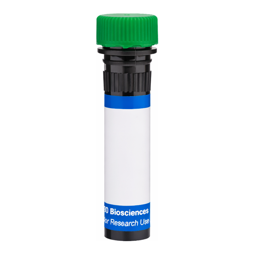 BD RB545 Mouse Anti-Human CD18 (Integrin β2)