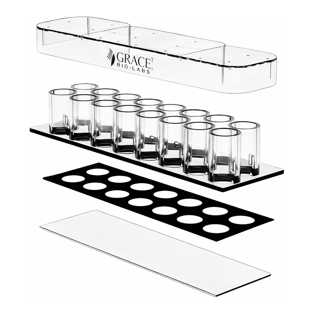 Thermo Fisher Scientific CultureWell Chambered Coverglass for Cell Culture, 16 wells per coverglass