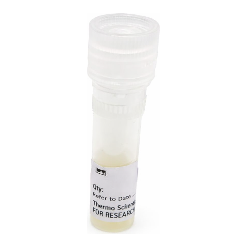 Thermo Fisher Scientific pCMV-Gaussia-Dura Luc Vector for Luciferase Assays