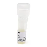 Thermo Fisher Scientific pCMV-Gaussia-Dura Luc Vector for Luciferase Assays