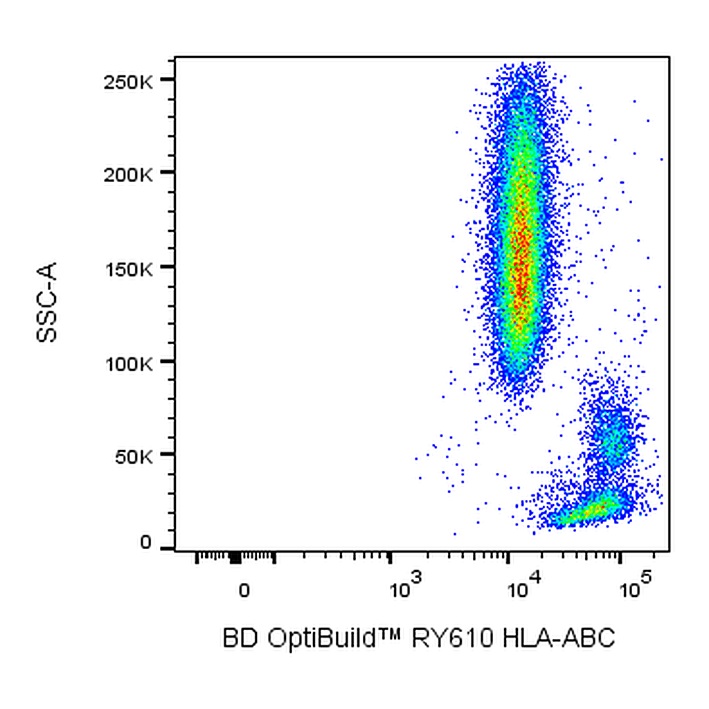 BD RY610 Mouse Anti-Human HLA-ABC