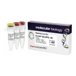 Thermo Fisher Scientific Eco32I (EcoRV), HC (50 U/μL)