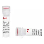 Merck MISSION(R) esiRNA