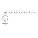 Merck 4-TERT-BUTYLPHENYL DODECYL ETHE-