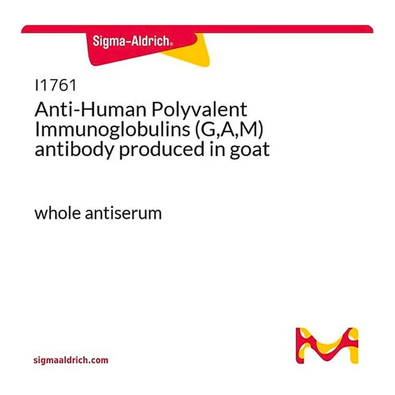 Merck Anti-Human Polyvalent Immunoglobulins (G,A,M) antibody produced in goat