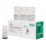 Thermo Fisher Scientific Dynabeads mRNA Purification Kit (for mRNA purification from total RNA preps)