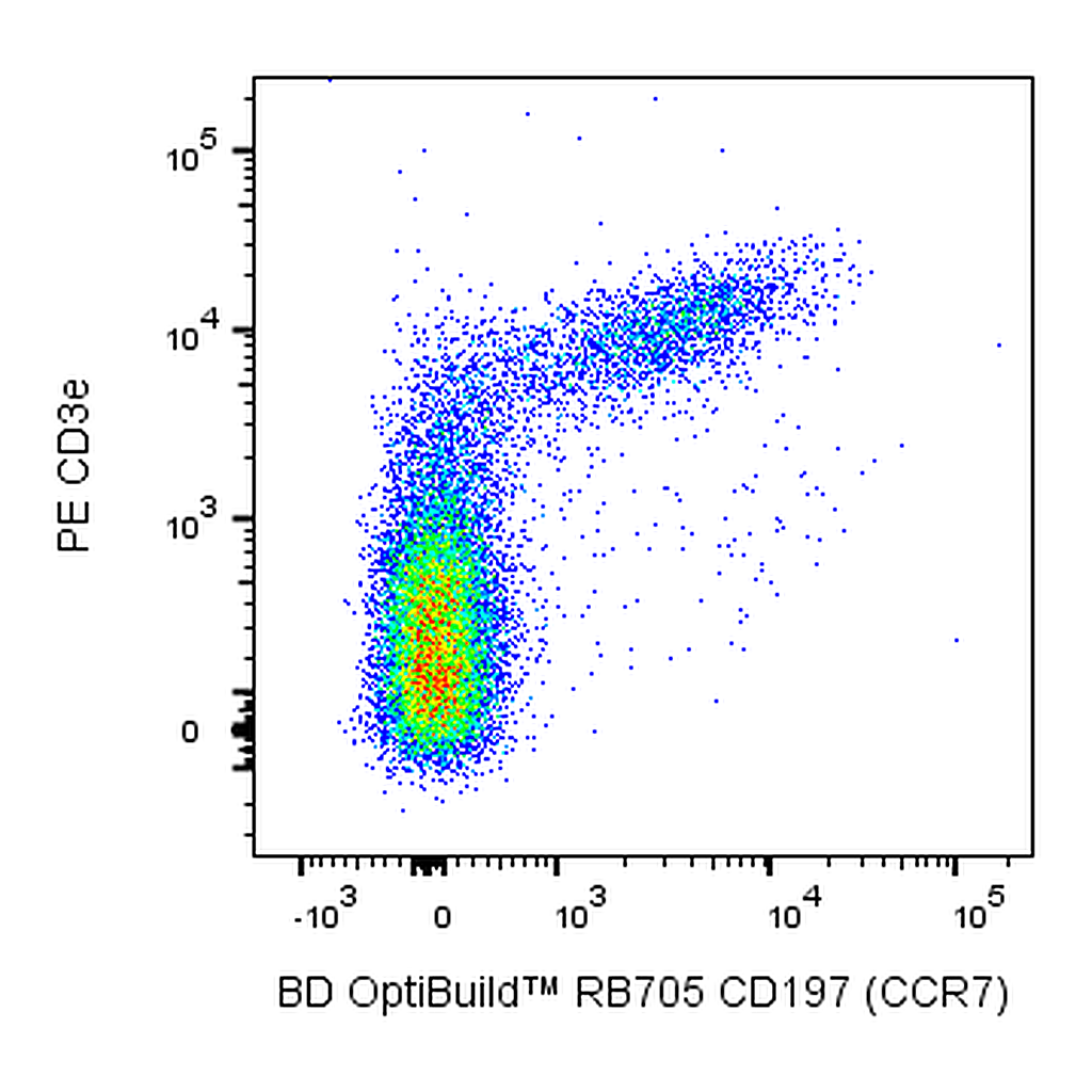 BD RB705 Rat Anti-Mouse CD197 (CCR7)