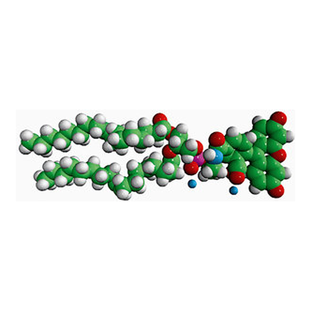 Merck 18:1 PE CF