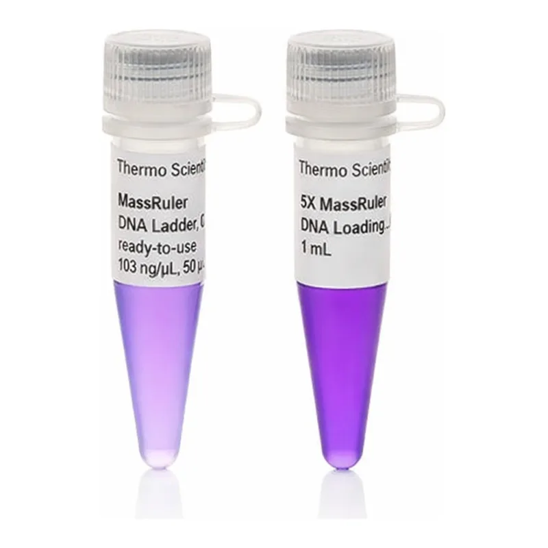 Thermo Fisher Scientific MassRuler DNA Ladder Mix, ready-to-use