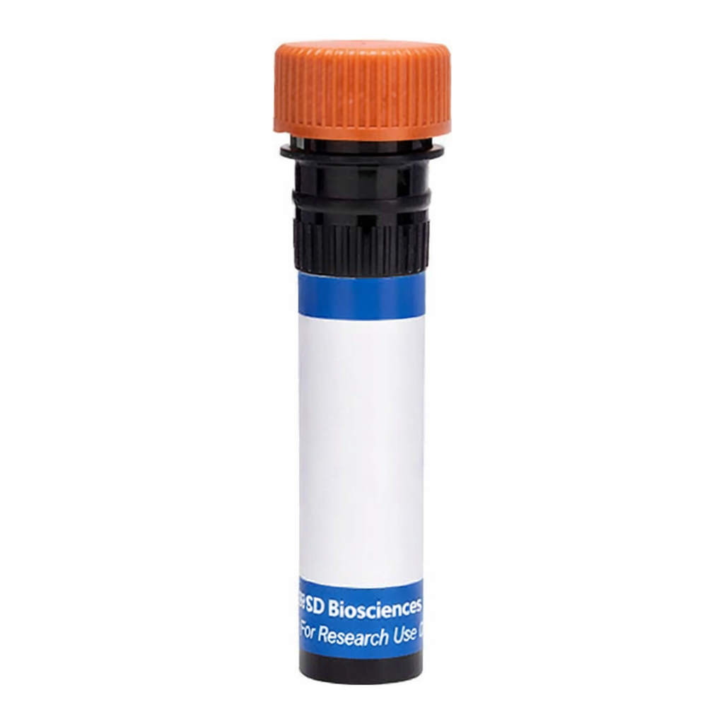 BD RB613 Mouse Anti-Rat β2 Microglobulin