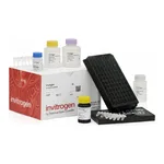 Thermo Fisher Scientific ProcartaPlex Canine Basic Kit