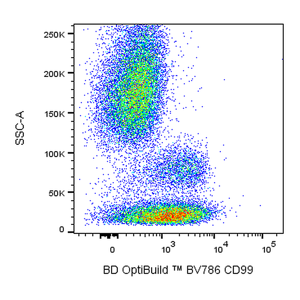 BD BV786 Mouse Anti-Human CD99