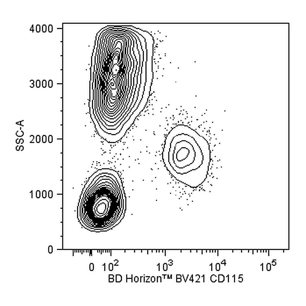 BD BV421 Rat Anti-Human CD115 (CSF-1R)
