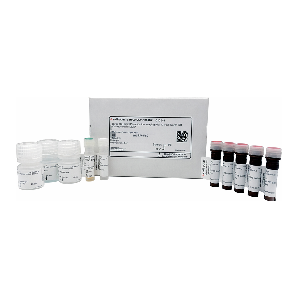 Thermo Fisher Scientific Click-iT Lipid Peroxidation Imaging Kit - Alexa Fluor 488