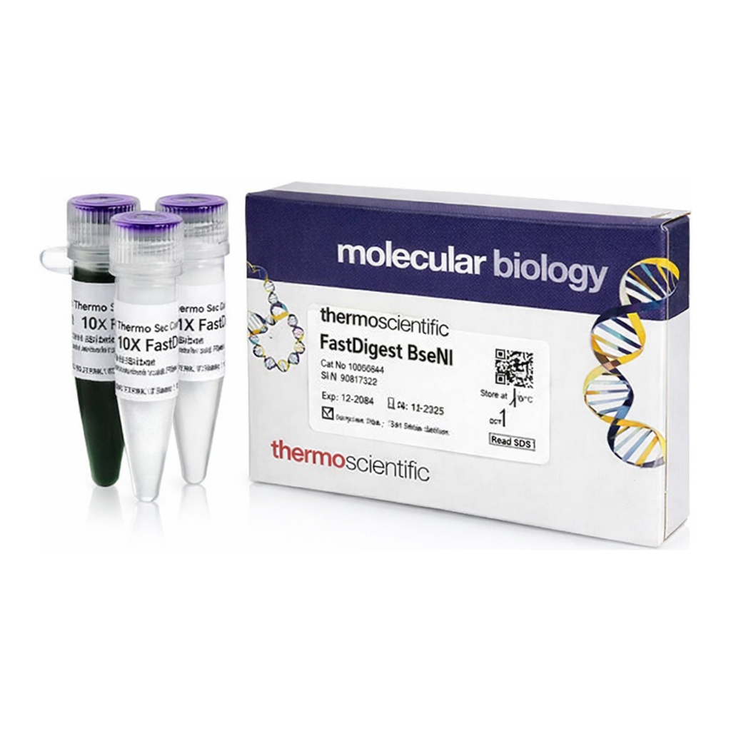 Thermo Fisher Scientific FastDigest BseNI