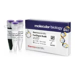 Thermo Fisher Scientific FastDigest BseNI