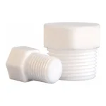 PTFE Blanking Nut Stopper, NPT Thread PTFE 반응조 커버 Blank Neck용 마개