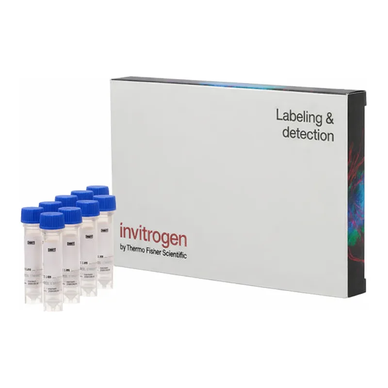 Thermo Fisher Scientific Dihydroethidium (Hydroethidine), 10 x 1 mg