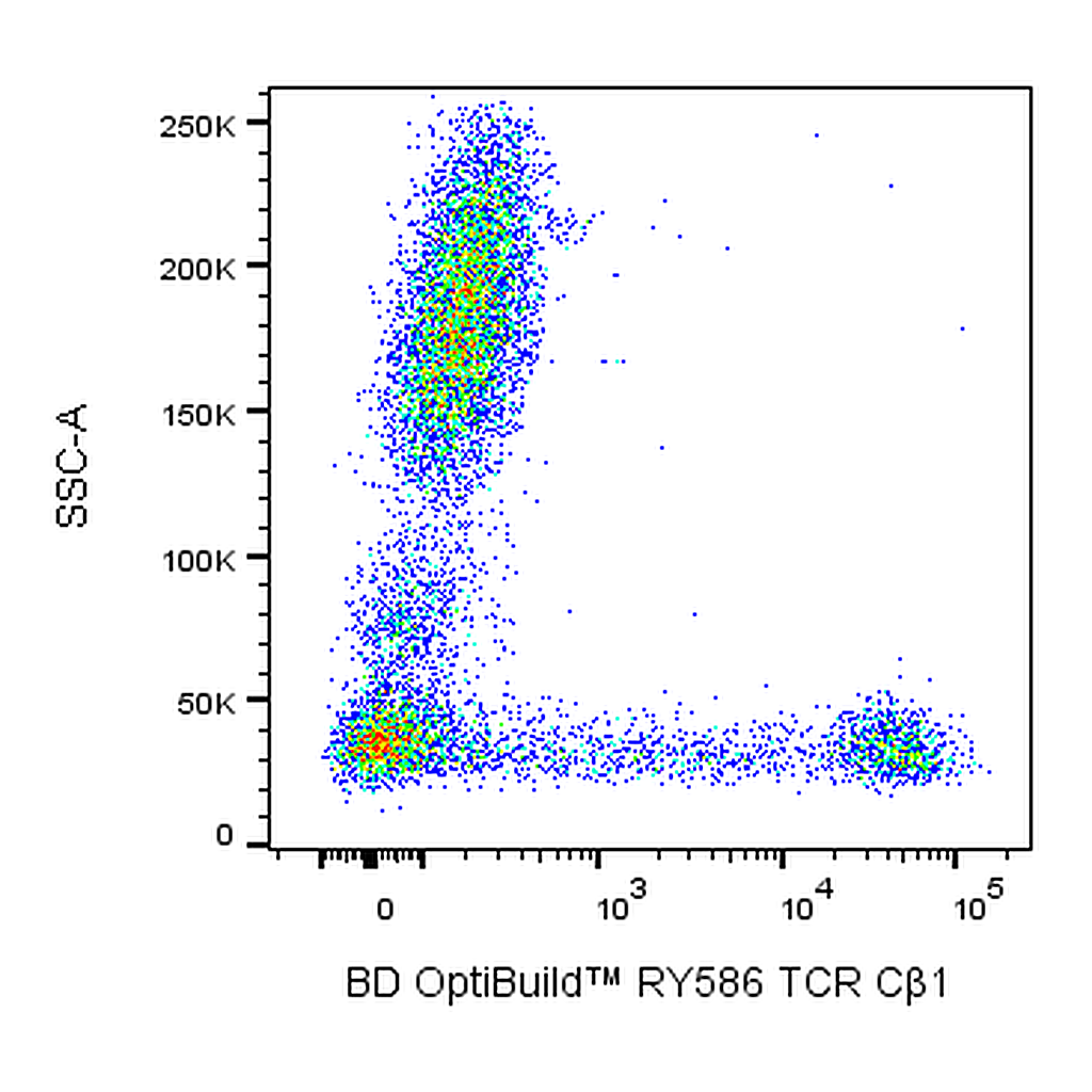 BD RY586 Mouse Anti-Human TCR Cβ1