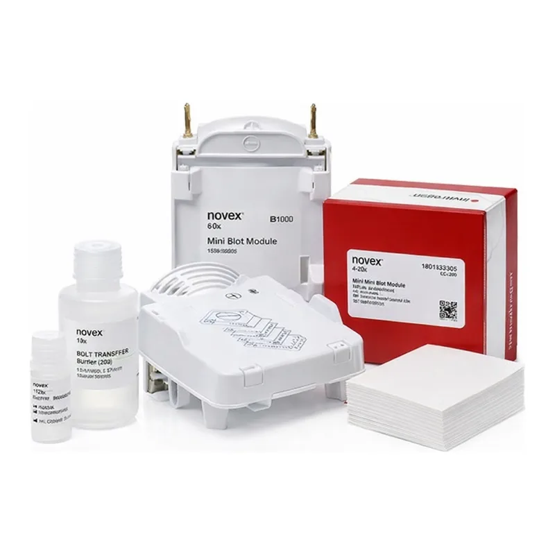 Thermo Fisher Scientific Bolt Western Pack B (PVDF)