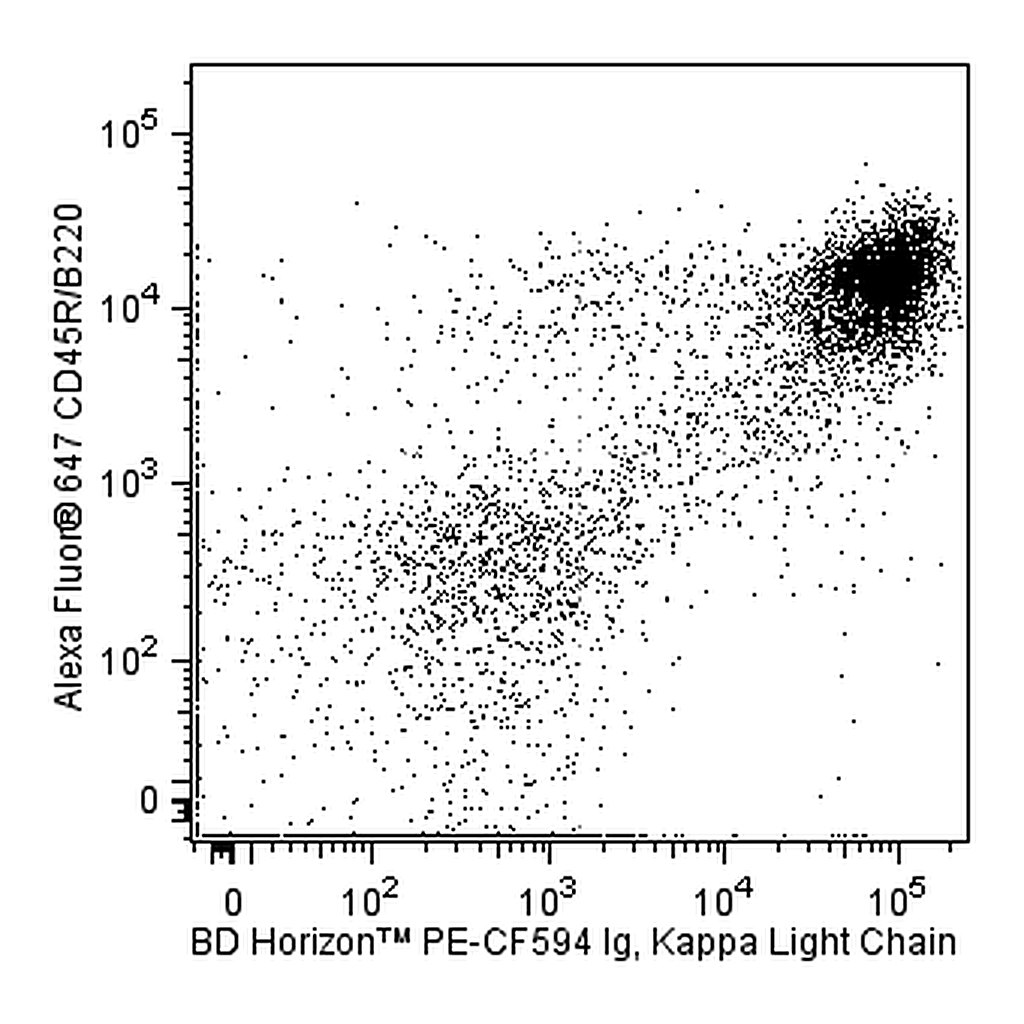 BD PE-CF594 Rat Anti-Mouse Ig, κ Light Chain