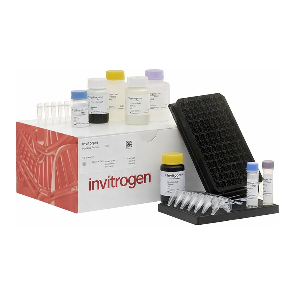 Thermo Fisher Scientific ProcartaPlex Human Cytokine/Chemokine/Growth Factor Panel 1, 45plex
