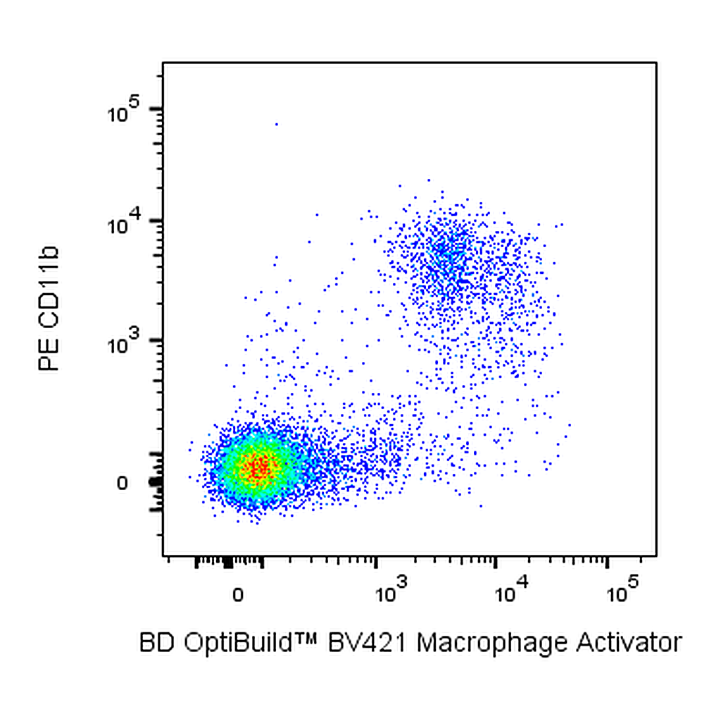 BD BV421 Mouse Anti-Rat Macrophage Activator