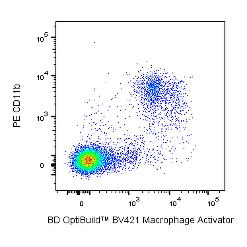BD BV421 Mouse Anti-Rat Macrophage Activator