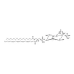 Merck BRAIN PI(4,5)P2