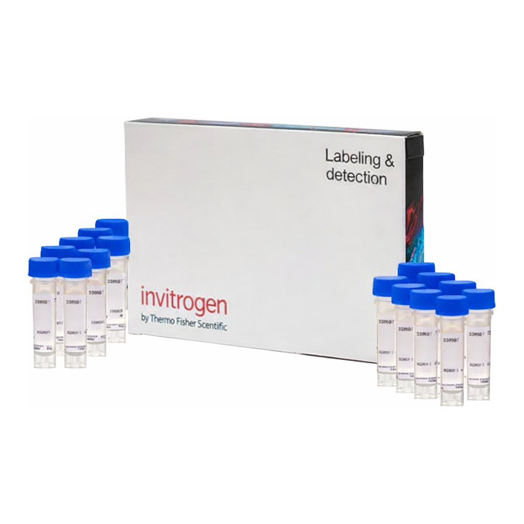 Thermo Fisher Scientific SBFI, AM, cell permeant - Special Packaging