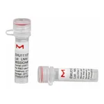Merck MISSION(R) esiRNA