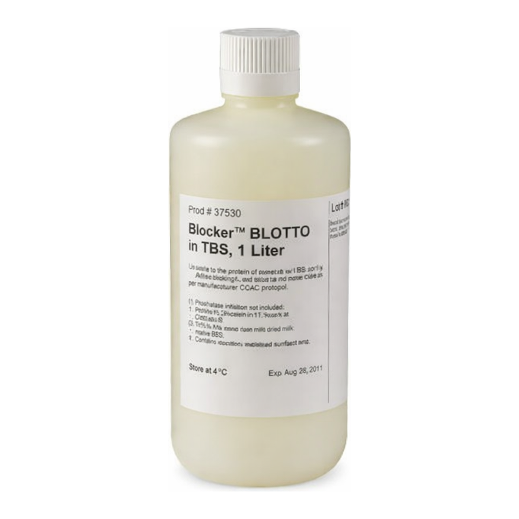 Thermo Fisher Scientific Blocker BLOTTO in TBS