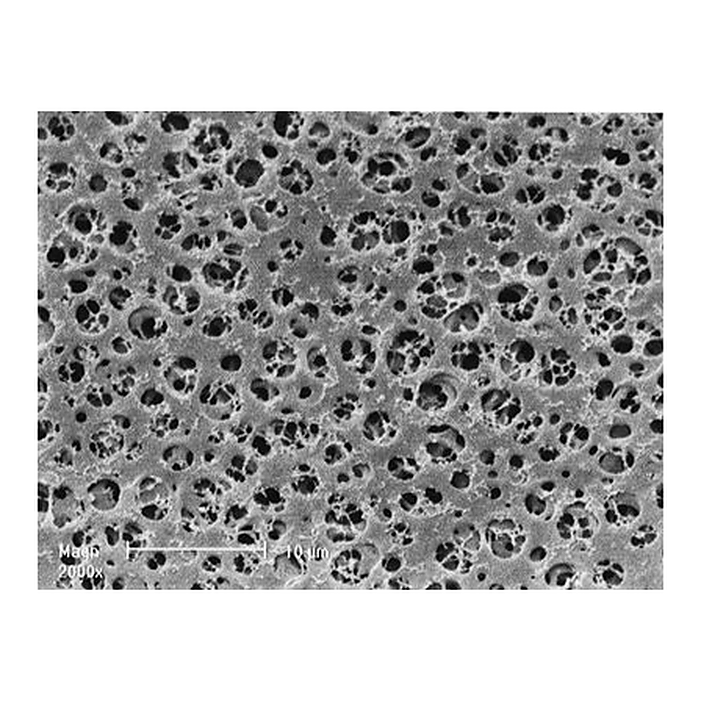 Cellulose Acetate Membrane Filters