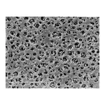 Cellulose Acetate Membrane Filters