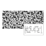 Cellulose Nitrate (Mixed Cellulose Ester) Membrane Filters