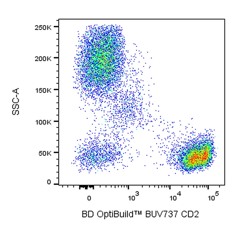 BD BUV737 Mouse Anti-Human CD2