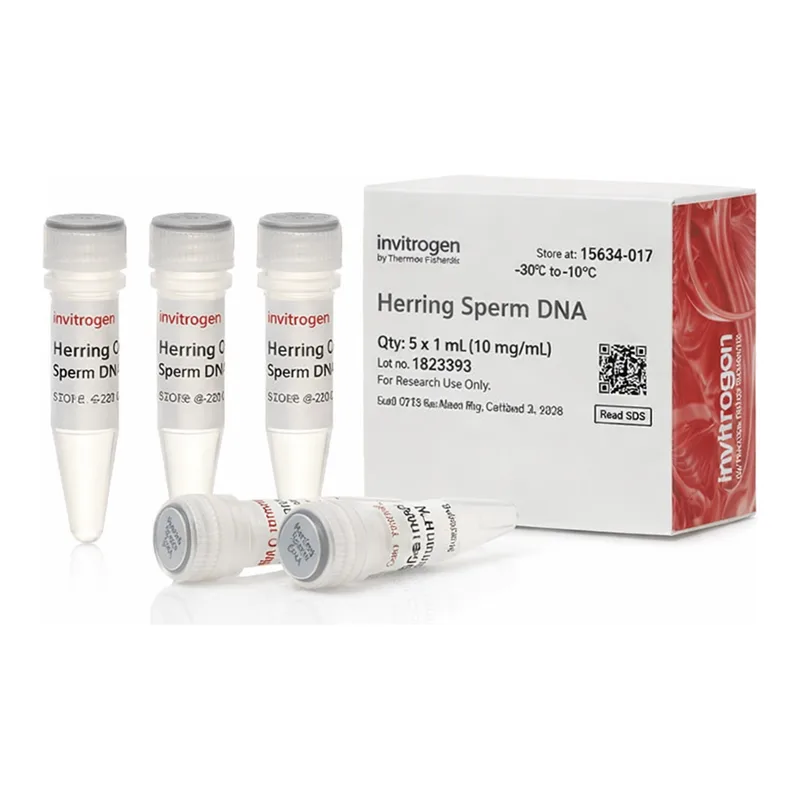 Thermo Fisher Scientific UltraPure Herring Sperm DNA Solution
