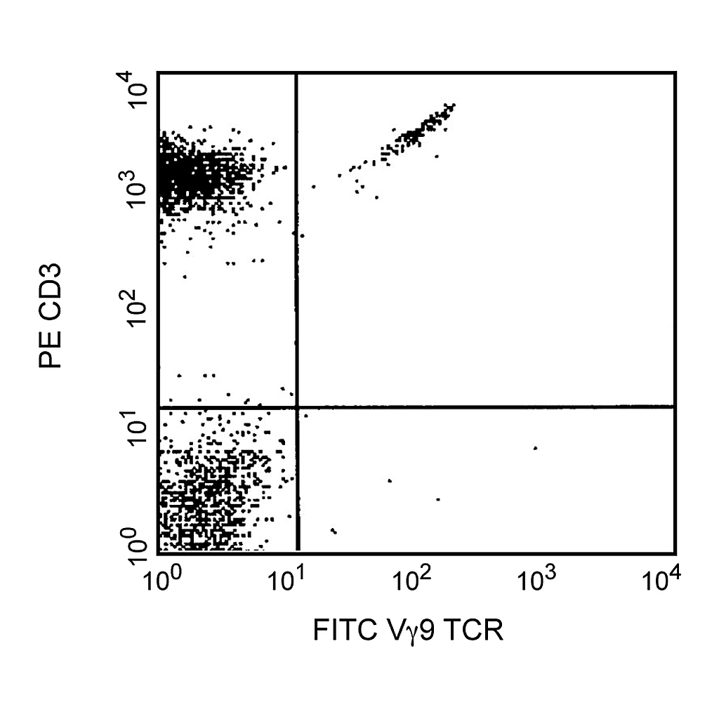 BD FITC Mouse Anti-Human Vγ9 TCR