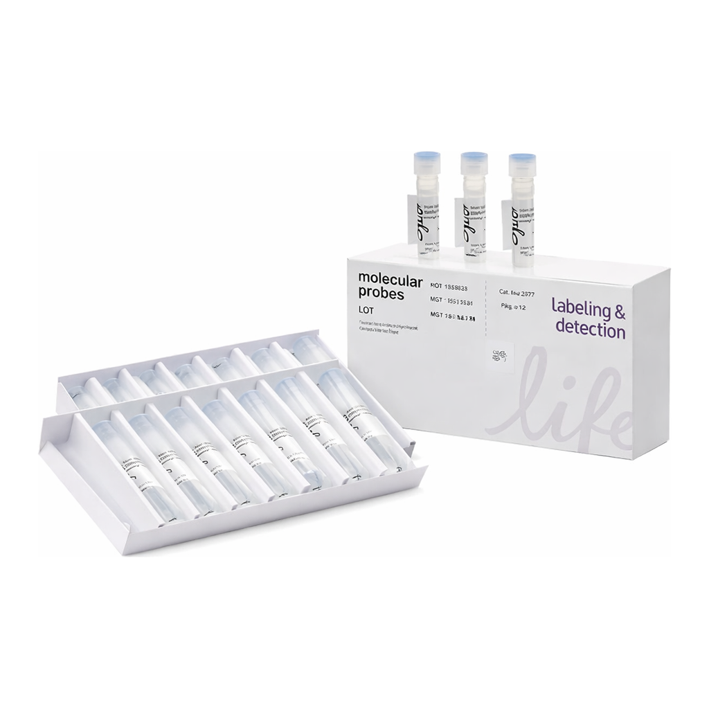 Thermo Fisher Scientific BacLight Green Bacterial Stain