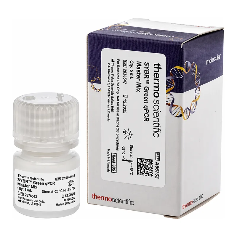 Thermo Fisher Scientific SYBR Green qPCR Master Mix