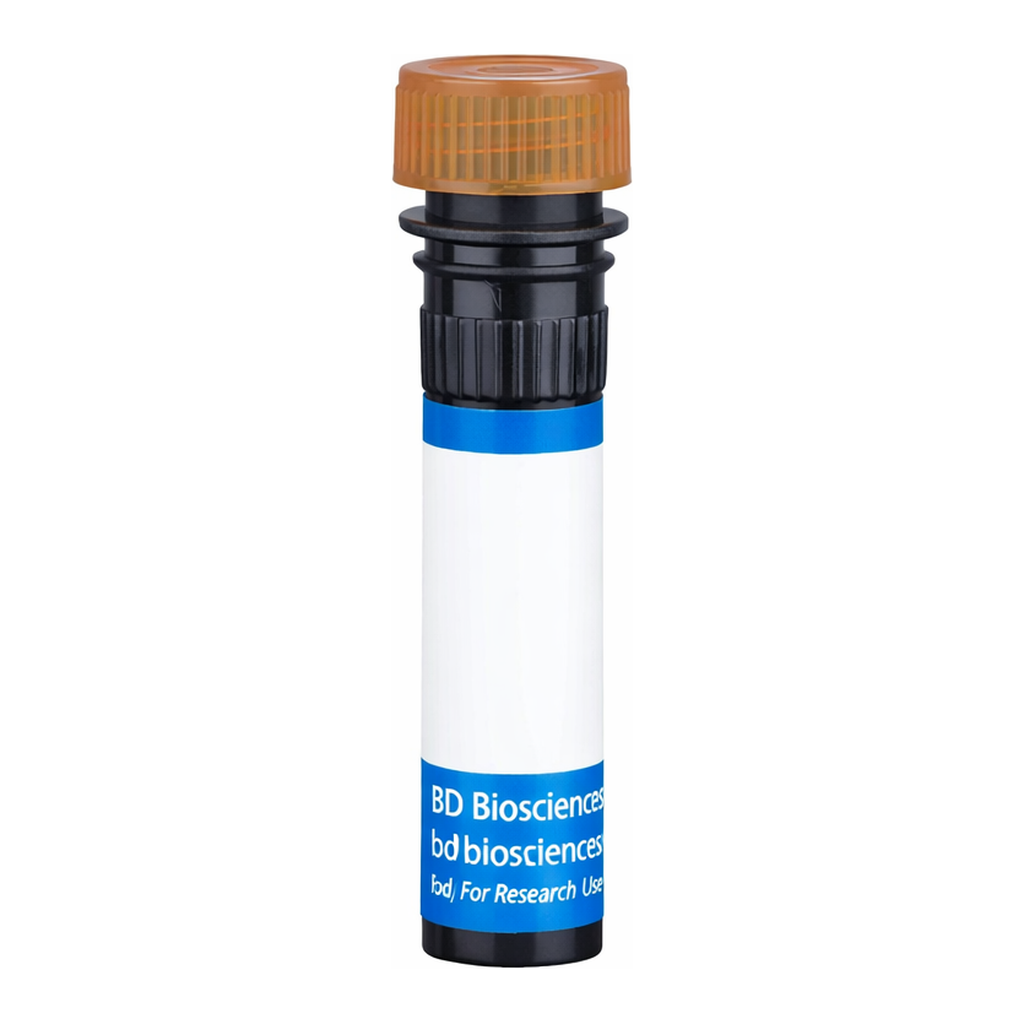 BD BB700 Rat Anti-Mouse Panendothelial Cell Antigen