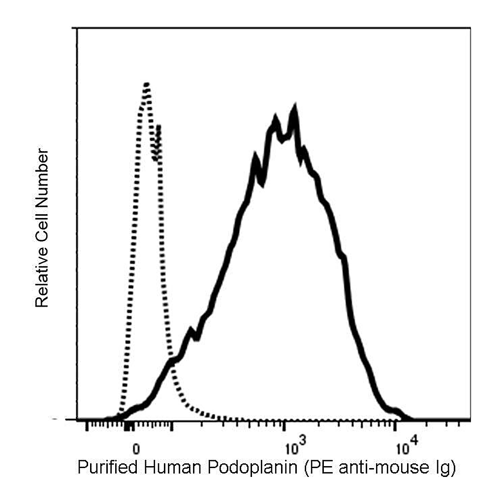 BD Purified Mouse Anti-Human Podoplanin