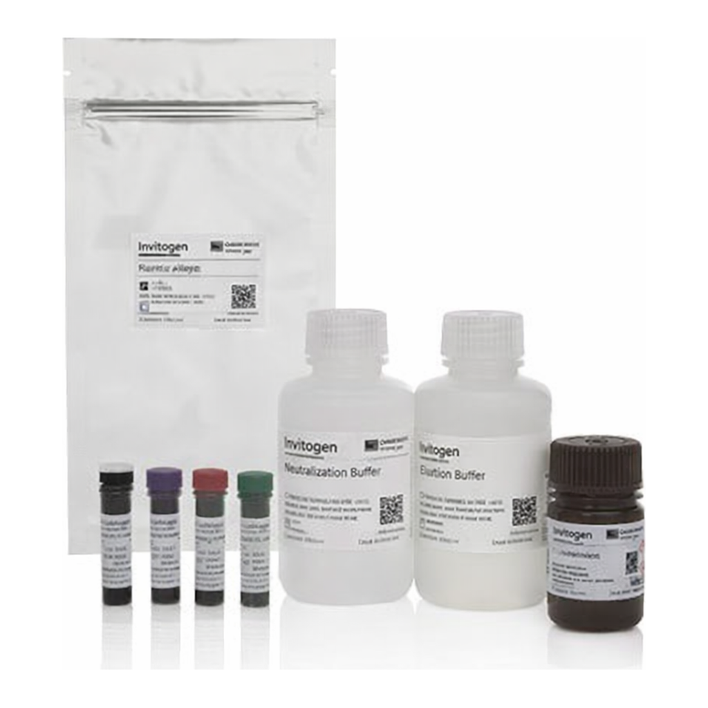 Thermo Fisher Scientific eBioscience Essential Human Treg Phenotyping Panel &amp; Staining Buffers